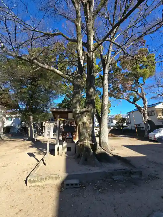 白山姫神社の{uncategorized: "未分類", other: "その他", undefined: "問題あり", building: "その他建物", grave: "お墓", sacred_gate: "鳥居", guardian: "狛犬", statue: "像", buddha: "仏像", history: "歴史", nature: "自然", garden: "庭園", animal: "動物", pagoda: "塔", temizu: "手水舎", mountain_gate: "山門・神門", sanctuary: "本殿・本堂", subordinate: "末社・摂社", art: "芸術", scenery: "景色", jizo: "地蔵", ema: "絵馬", goshuin: "御朱印", omikuji: "おみくじ", items: "授与品その他", amulet: "お守り", goshuincho: "御朱印帳", eats: "食事", festival: "お祭り", votive_dance: "神楽", shichigosan: "七五三参", wedding: "結婚式", experience: "体験その他", initially: "初詣", around: "周辺", anti_infection: "感染症対策"}