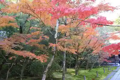 酬恩庵一休寺(京都府)