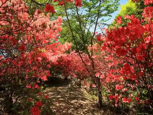 島野浦神社の自然