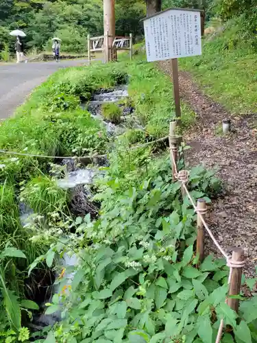 諏訪大社上社前宮の自然