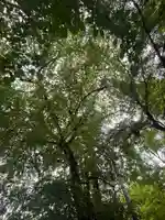 竜神宮(栃木県)