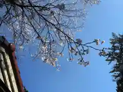 滑川神社 - 仕事と子どもの守り神(福島県)