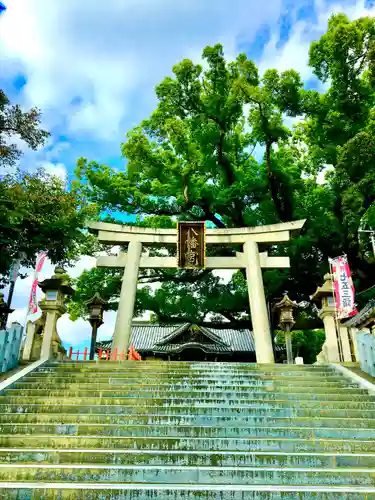 百舌鳥八幡宮の鳥居