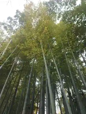 報国寺(神奈川県)