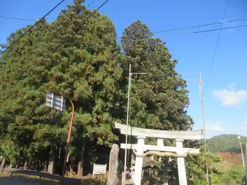 羽黒神社(山形県)