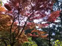 岡太神社(福井県)