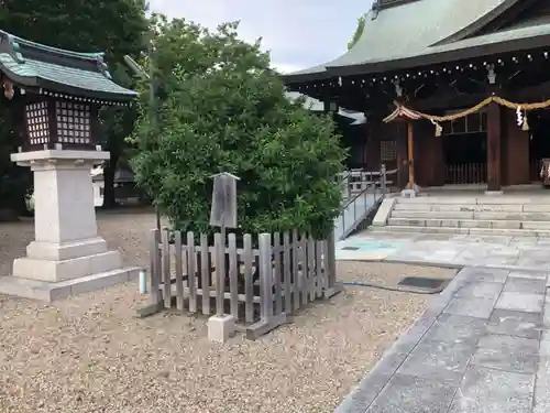 伴林氏神社(大阪府)