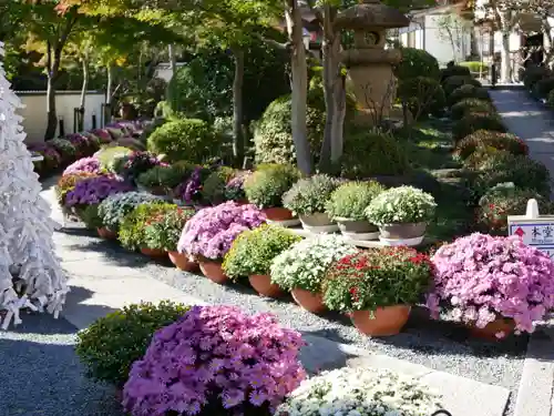 宝徳寺の庭園