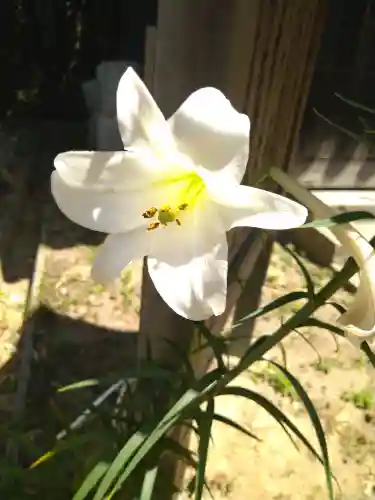 牛窓神社の自然