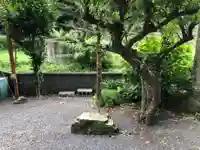 白澤神社(静岡県)