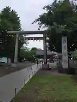 浅草神社の鳥居