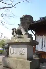 松本神社の狛犬