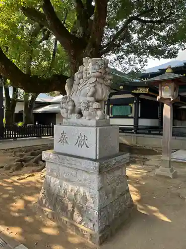 穴八幡宮の狛犬