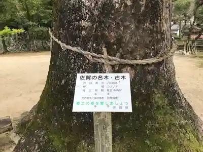 荒穂神社の自然