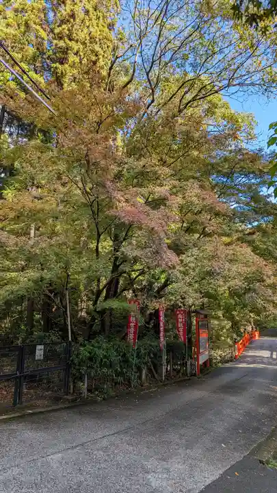 今熊野観音寺(京都府)
