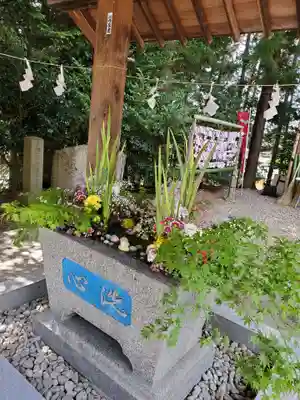 滑川神社 - 仕事と子どもの守り神の手水舎