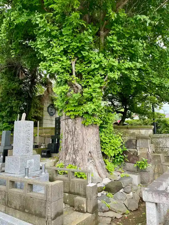 眞浄院(神奈川県)