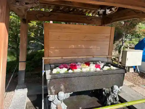 西新井大師総持寺の{uncategorized: "未分類", other: "その他", undefined: "問題あり", building: "その他建物", grave: "お墓", sacred_gate: "鳥居", guardian: "狛犬", statue: "像", buddha: "仏像", history: "歴史", nature: "自然", garden: "庭園", animal: "動物", pagoda: "塔", temizu: "手水舎", mountain_gate: "山門・神門", sanctuary: "本殿・本堂", subordinate: "末社・摂社", art: "芸術", scenery: "景色", jizo: "地蔵", ema: "絵馬", goshuin: "御朱印", omikuji: "おみくじ", items: "授与品その他", amulet: "お守り", goshuincho: "御朱印帳", eats: "食事", festival: "お祭り", votive_dance: "神楽", shichigosan: "七五三参", wedding: "結婚式", experience: "体験その他", initially: "初詣", around: "周辺", anti_infection: "感染症対策"}