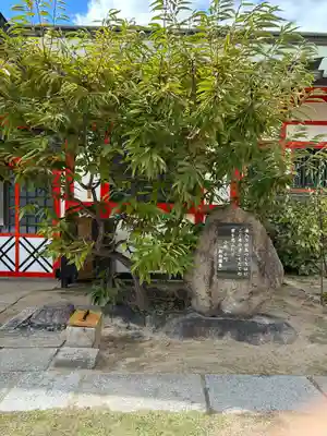 玉造稲荷神社(大阪府)