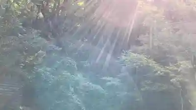 幣立神宮のその他建物