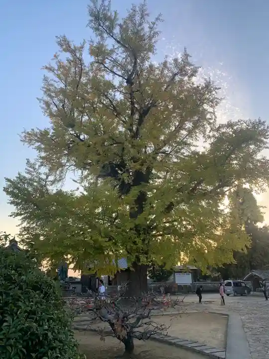 地蔵寺(徳島県)