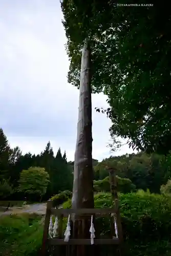 諏訪大社上社前宮(長野県)