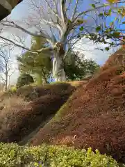 廣修寺(福島県)