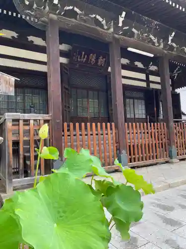 檀王法林寺（栴檀王院無上法林寺）の本殿・本堂