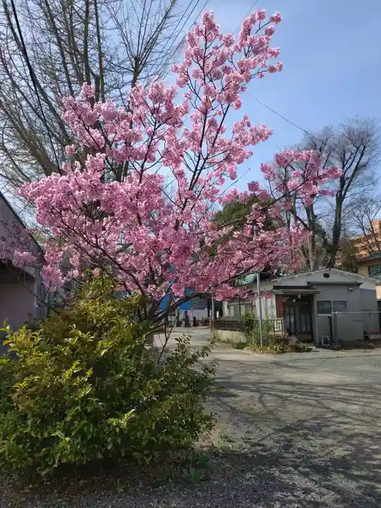 阿邪訶根神社(福島県)