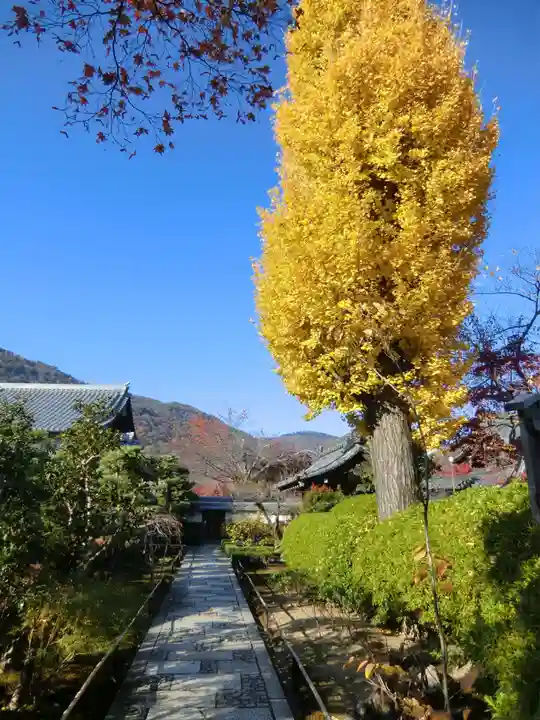 天龍寺(京都府)