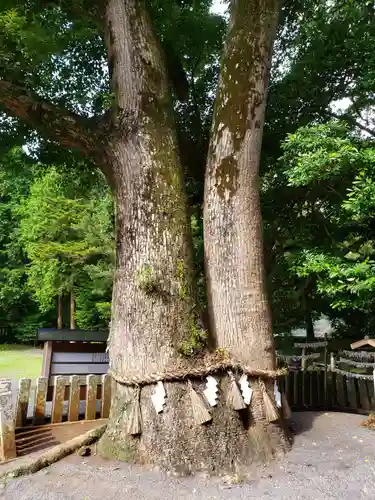 國津意加美神社(長崎県)