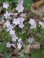 藏王高根神社(神奈川県)