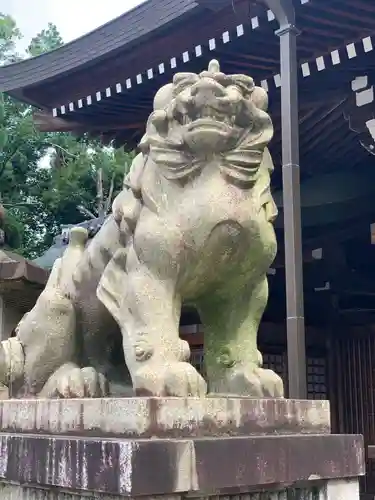 京都霊山護國神社の狛犬