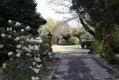 大本山誕生院 (佐賀県)