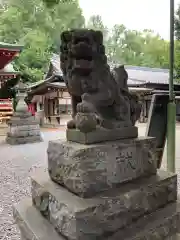 南沢氷川神社の狛犬