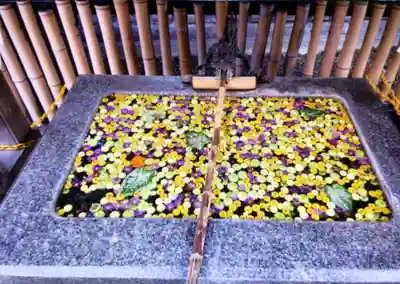 高円寺氷川神社(東京都)