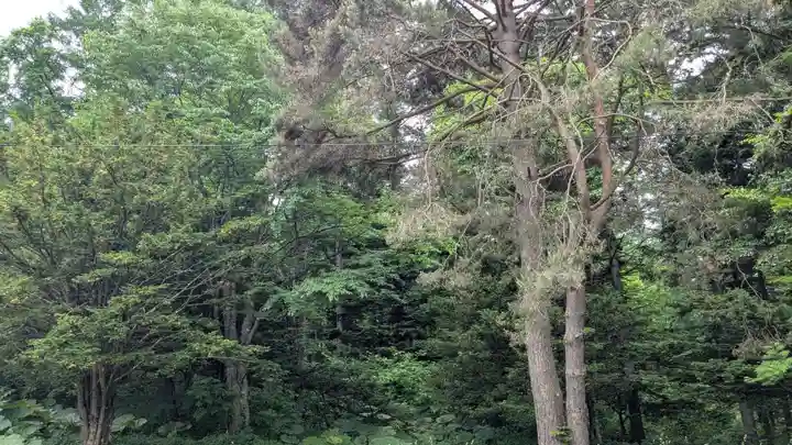南富良野神社の自然