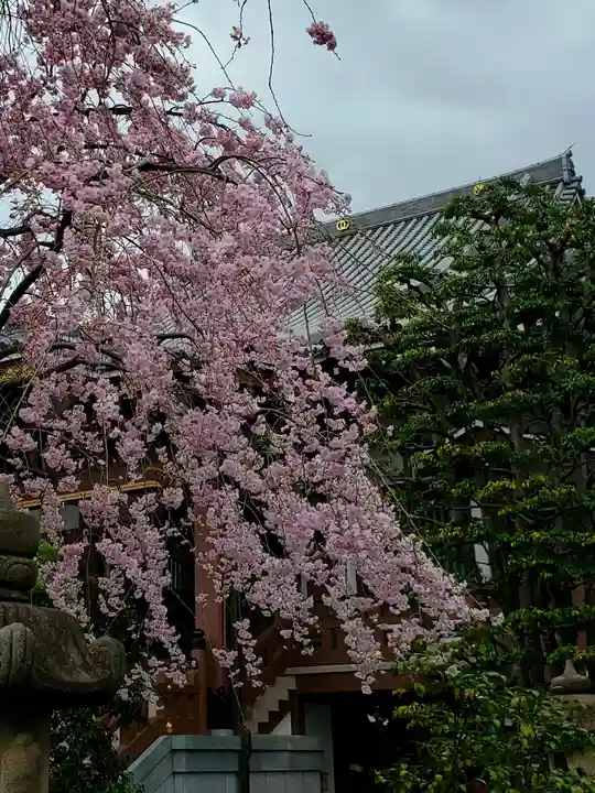 最勝寺(東京都)