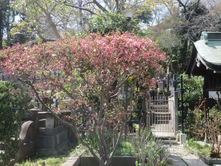 宗隆寺(神奈川県)