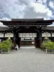 賀茂御祖神社（下鴨神社）(京都府)