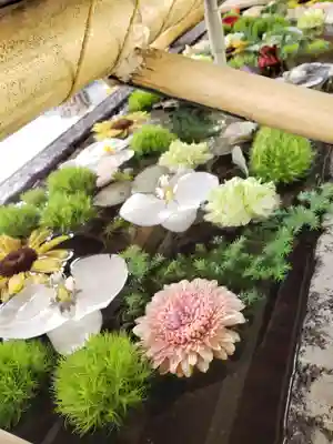 鳩森八幡神社の手水舎