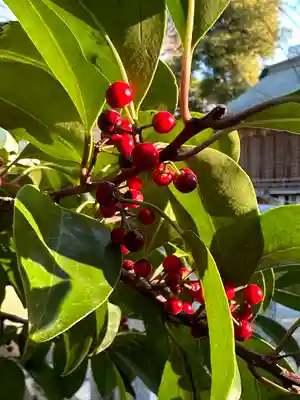 布多天神社(東京都)