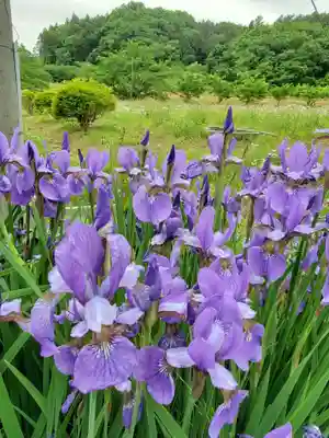 高司神社〜むすびの神の鎮まる社〜(福島県)