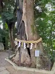 常陸國總社宮(茨城県)