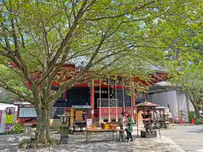 楽法寺(雨引観音)の本殿・本堂
