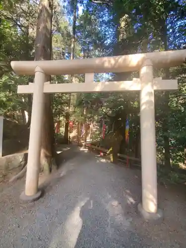 宝登山神社の鳥居