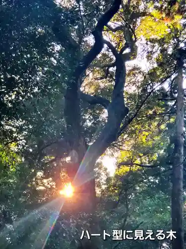 鹿島神宮(茨城県)