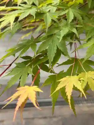  智積院(京都府)