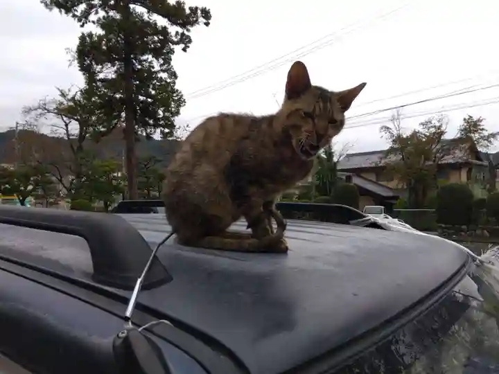 清泰寺(岐阜県)
