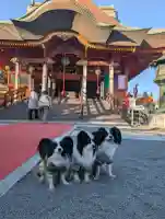 布施弁天 東海寺の{uncategorized: "未分類", other: "その他", undefined: "問題あり", building: "その他建物", grave: "お墓", sacred_gate: "鳥居", guardian: "狛犬", statue: "像", buddha: "仏像", history: "歴史", nature: "自然", garden: "庭園", animal: "動物", pagoda: "塔", temizu: "手水舎", mountain_gate: "山門・神門", sanctuary: "本殿・本堂", subordinate: "末社・摂社", art: "芸術", scenery: "景色", jizo: "地蔵", ema: "絵馬", goshuin: "御朱印", omikuji: "おみくじ", items: "授与品その他", amulet: "お守り", goshuincho: "御朱印帳", eats: "食事", festival: "お祭り", votive_dance: "神楽", shichigosan: "七五三参", wedding: "結婚式", experience: "体験その他", initially: "初詣", around: "周辺", anti_infection: "感染症対策"}